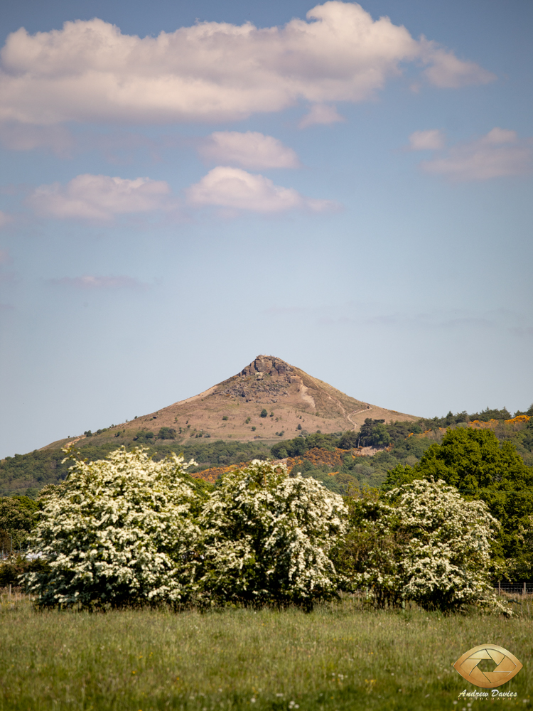 Howard Court Great Ayton North Yorkshire  Wedding Venue Photos Photographer