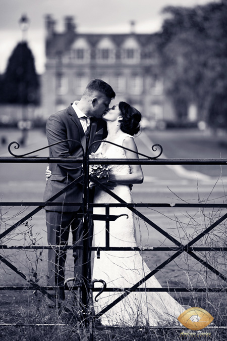 acklam hall wedding photo avenue of trees