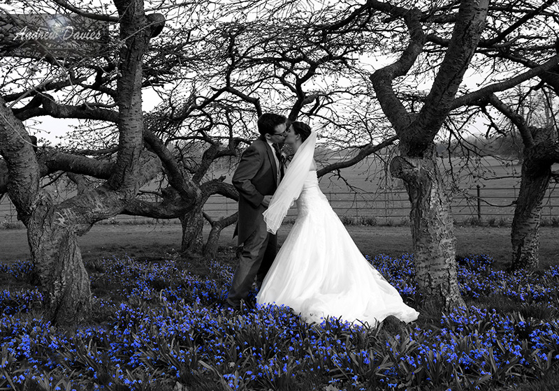 goldsborough hall north yorkshire wedding venue