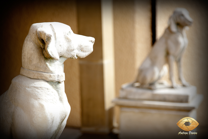 hardwick hall wedding photographs photos