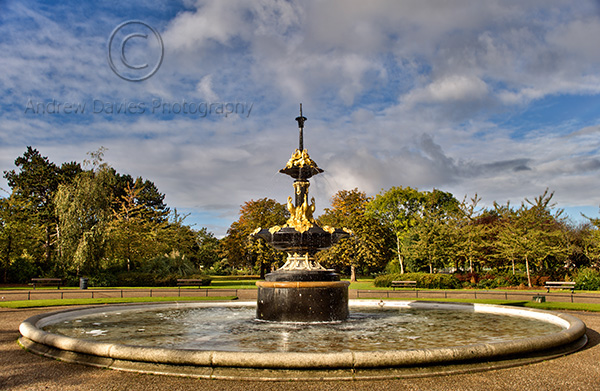 albert park middlesbrough print
