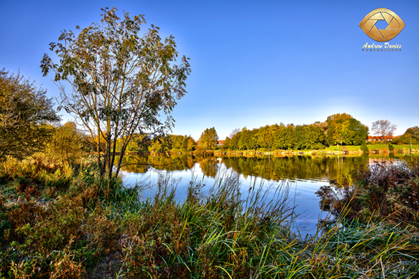 Hemlington Lake Middlesbrough photo print