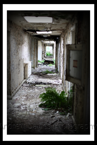 urban art abandoned asylum