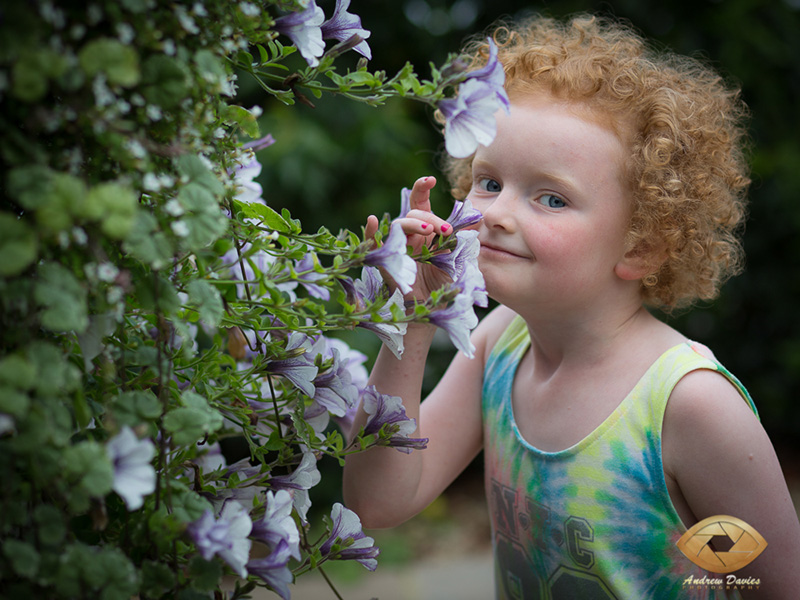 pheasant hotel harome wedding photographer 