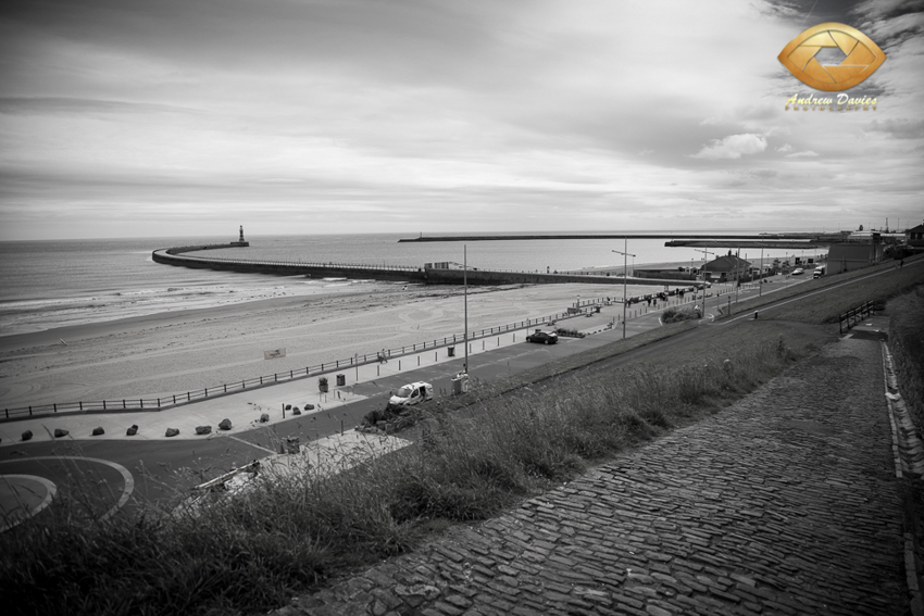 roker hotel wedding photographer photos