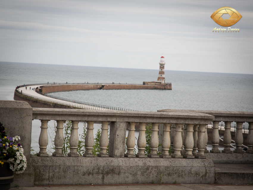 roker hotel wedding photographer photos