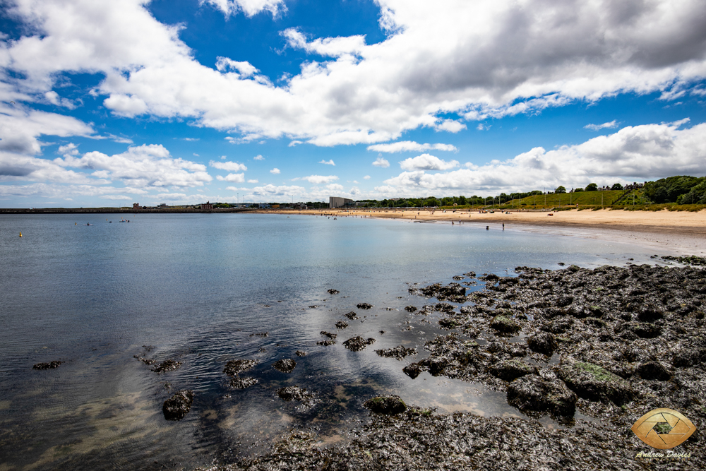 Little Haven Hotel South Shields Wedding Photographer